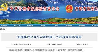 吉林通化爆料最新消息,揭秘神秘事件背后的真相